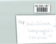 48249 W4408 Hausdülmen FOTO KEINE AK Campingplatz