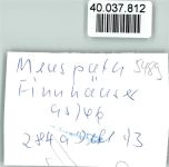 53520 W5489 Meuspath FOTO KEINE AK Finnhäuser