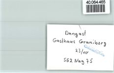 26316 W2930 Dangast FOTO KEINE AK Gasthaus Graniberg Innenaufnahme Gastraum