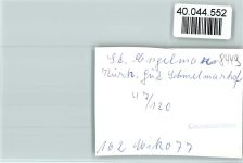 94379 W8449 St Englmar FOTO KEINE AK Kurhaus Schmelmarkt