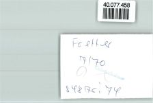 57413 W5950 Fretter FOTO KEINE AK