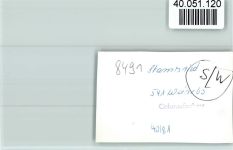 93491 W8491 Stamsried FOTO KEINE AK