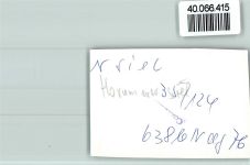 26434 W2942 Horumersiel FOTO KEINE AK Moorpackung