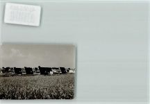 23730 W2430 Brodau , Ostholst FOTO KEINE AK Dreieckshäuser
