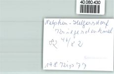 57250 W5902 Netphen FOTO KEINE AK Kriegerdenkmal