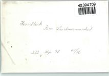 96352 W8641 Hesselbach , Oberfr FOTO KEINE AK Pension Waldmannsheil Terrasse