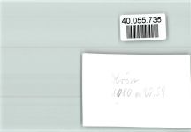 54536 W5563 Kröv FOTO KEINE AK Ortsansicht
