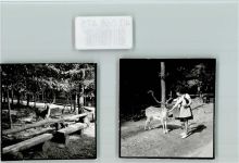 34549 W3593 Edersee FOTO KEINE AK Wildpark