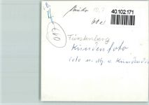 37699 W3476 Fürstenberg , Weser FOTO KEINE AK Kälber auf der Weide