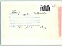 24395 W2342 Gelting , Angeln FOTO KEINE AK Kaffeestuben