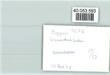 49626 W4576 Bippen FOTO KEINE AK