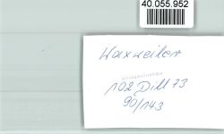 54649 W5523 Waxweiler FOTO KEINE AK Ortsansicht