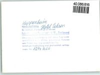 76456 W7554 Kuppenheim FOTO KEINE AK Hotel Ochsen