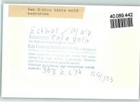 67466 W6731 Esthal FOTO KEINE AK Cafe Roth
