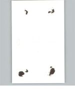 Jihlava Iglau FOTO KEINE AK AKU1