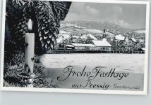 96332 W8644 Pressig