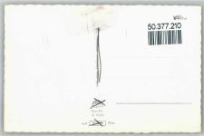 92539 W8476 Schönsee