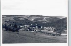 61276 W6395 Rod an der Weil - Foto
