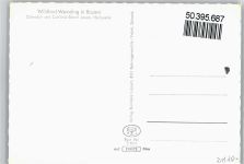 86650 W8853 Wemding
