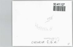 97645 W8745 Ostheim v d Rhön - Foto-Karte