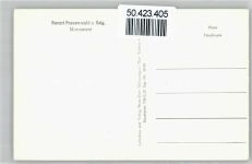 98711 O6304 Frauenwald - Denkmal