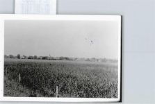 33181 W4798 Haaren , Kr Büren, Westf - Foto-Karte