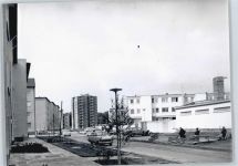65428 W6090 Rüsselsheim - Foto-Karte