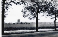 65428 W6090 Rüsselsheim - Baum Feld Haus