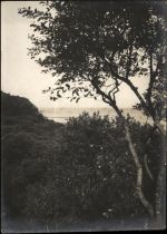 26486 W2946 Wangerooge , Nordseebad - Foto 12x17 cm