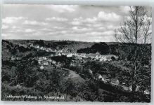 72218 W7277 Wildberg , Württ - Haus Wiese Baum