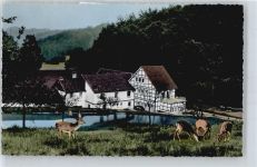 53809 W5207 Winterscheid , Siegkr - Hotel-Restaurant Winterscheider Mühle, Hirsche