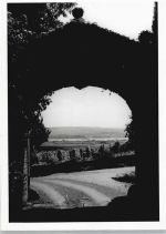 54558 W5569 Winkel (Eifel) - Tor Panorama Baum