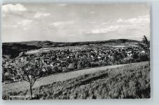 56323 W5401 Waldesch b Koblenz am Rhein - Panorama