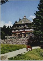 77880 W7591 Obersasbach - Darmstädter Hütte