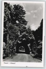 79664 W7867 Wehr , Baden - Tunnel