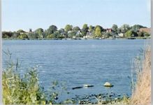 24361 W2333 Groß Wittensee - Teilansicht