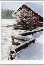Winterlandschaft , Naturfarben-Fotografie AKU2 Natur