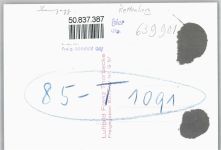 87549 W8977 Rettenberg , Oberallgäu - Fliegeraufnahme