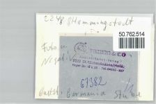25770 W2248 Hemmingstedt FOTO KEINE AK Foto mit Negativ, Gaststätte Germania Stube