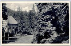 37441 W3423 Steina , Südharz - Waldschänke Steinatal