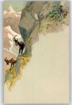 No.709 , Bergziegen Wenau Lithographie