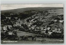 54533 W5561 Eisenschmitt Foto AK Eifel