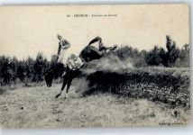 49400 Saumur - Pferd