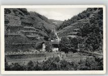 53474 W5483 Ahrweiler - Bunte Kuh