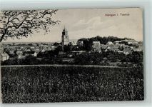 61250 W6390 Usingen