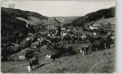 79263 W7809 Altsimonswald