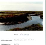 26486 W2946 Wangerooge , Nordseebad FOTO KEINE AK Priel am Deich Foto montiert auf Karton
