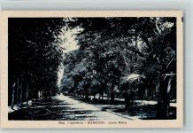 Mendoza - Calle Mitre