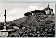 97332 W8712 Volkach - Vogelsburg Weinberge