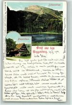 Wildhaus Schwendisee Bauernhaus Bauernhaus 1901